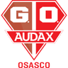 Gremio Osasco Audax