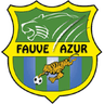 Jeunes Fauves
