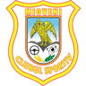 CS Mioveni