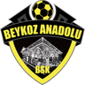 Beykoz Anadolu