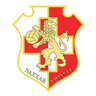 Naxxar Lions