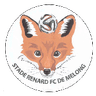 Stade Renard